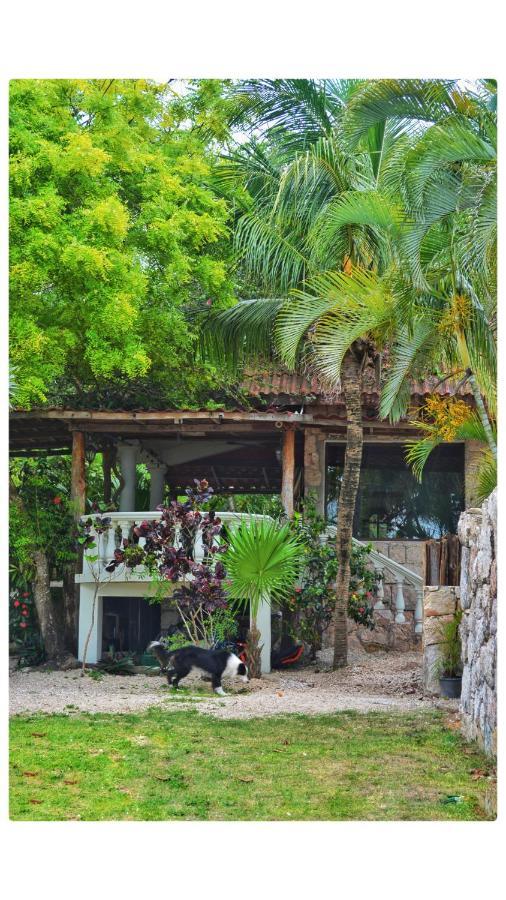 Tortuga Bacalar Bed and Breakfast Exterior foto