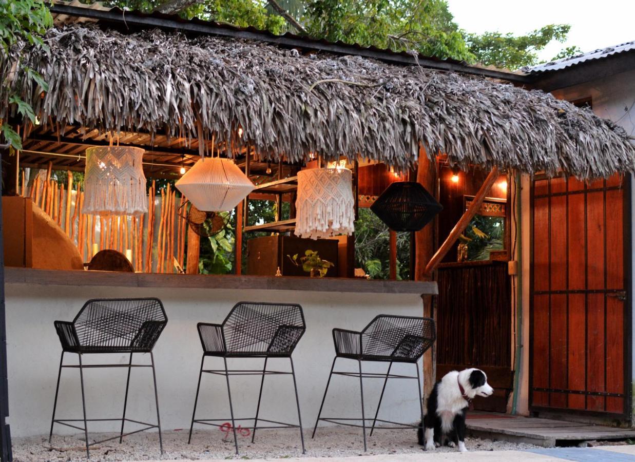 Tortuga Bacalar Bed and Breakfast Exterior foto