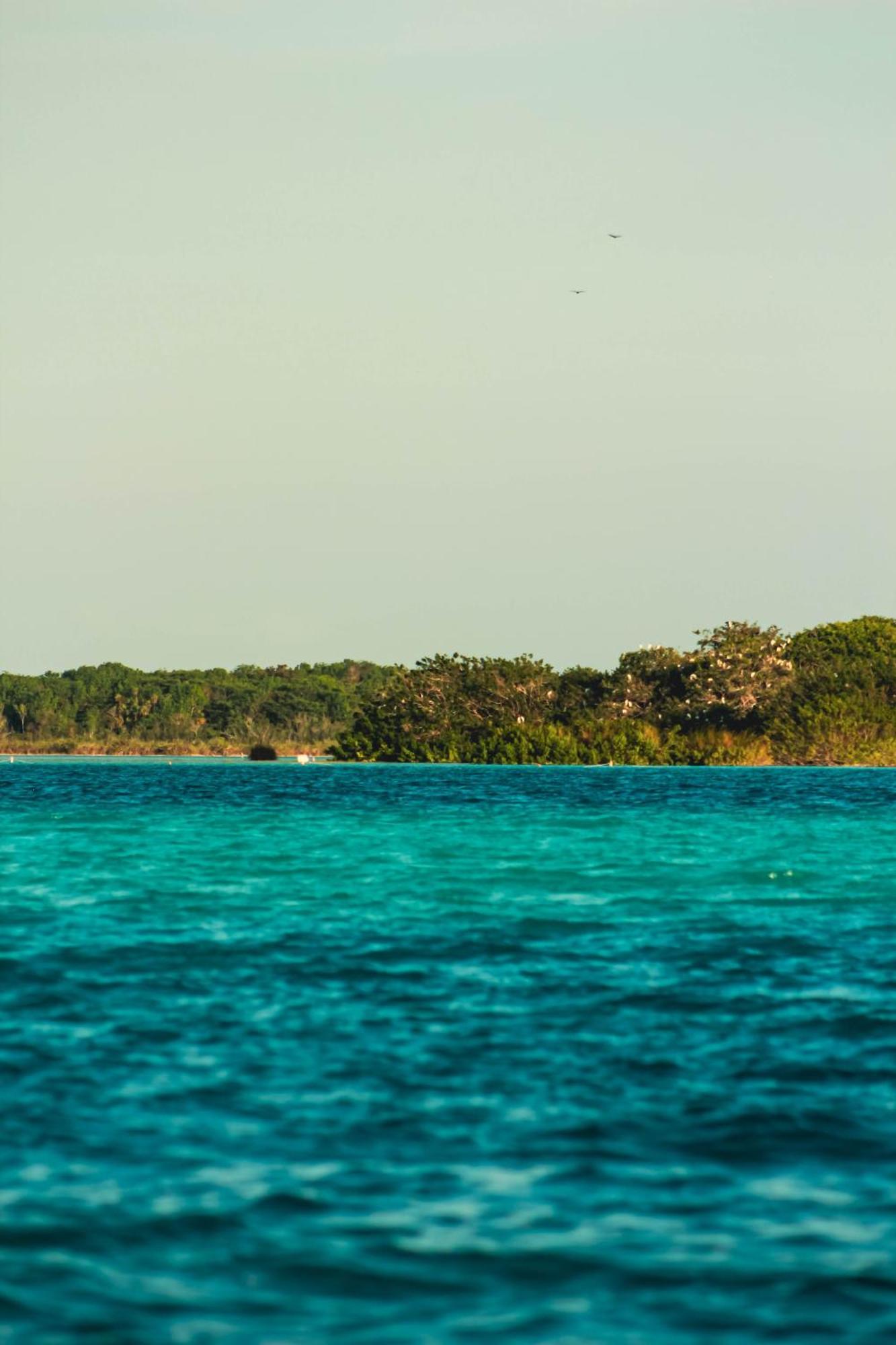 Tortuga Bacalar Bed and Breakfast Exterior foto