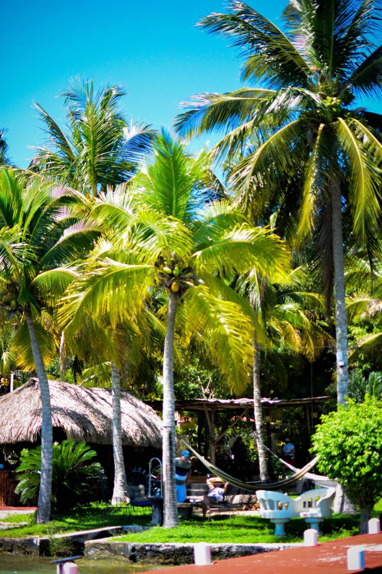 Tortuga Bacalar Bed and Breakfast Exterior foto
